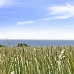 Apartment Steffi - 300m From The Sea By Interhome